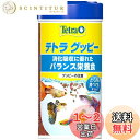 テトラ (Tetra) グッピー 魚 75g