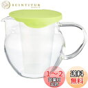 HARIO(ハリオ) 急須 茶茶 フラッティ 実用容量450ml 耐熱ガラス ティーポットCHF-45GG グラスグリーン
