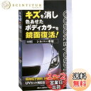 ソフト99(SOFT99) ワックス WAX カラーエボリューション シルバー 自動車塗装面のキズ消し、保護及び艶出し用 保護手袋、専用拭き取りクロス2枚、専用スポンジ 00502
