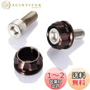 デイトナ(Daytona) PREMIUM ZONE(プレミアムゾーン) バイク用 ナンバープレート ボルト M6×15mm ホルダーセット 2個入り ブロンズ 91954