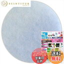 【送料無料】ビーワンショップ 給気口フィルター (直径130mm丸型) 10枚入 ・大建プラスチックス DK150M4 / ~125SAZM / ~125SAZ...