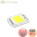 LEDGLE 50W LEDチップ バルブライトランプDIY スポットライト ハイパワー AC 110V 6500K 90LM/W 昼白色 1個セット