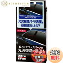 ソフト99(SOFT99) 99工房 モドシ隊 補修用品 超鏡面精密研磨セット 自動車用光沢樹脂パーツ及び塗装面の鏡面研磨用 09506