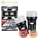 IPF ポジションランプ LED 車用 T10 70lm 6000K ホワイト 12V用 2本入 車検対応 拡散材配合レンズ採用 日本製 104W