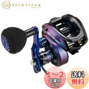 AbuGarcia (アブガルシア) SALTY STAGE Jigging 右巻き パワーハンドル ハイギヤモデル ベイトリール