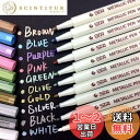 【送料無料】AKARUED メタリック マーカーペン 10色セット 水性 カラーペン サインペン DIY サプライズボックス アルバム 手作り カード 年賀状 ...