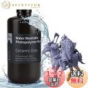 ELEGOO 光造形3Dプリンター用 水洗いレジン UVレジン 405nm 水洗い樹脂 1000g 光硬化可能樹脂 LCD 3Dプリンター向け(セラミックグレー...
