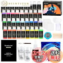 Shuttle Art アクリルポーリング絵の具 アクリル顔料 36本セット 32色(白4本と黒2本入り) 60ml ストレーナー付き 注ぐアートワーク用 画材...