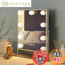 【送料無料】FENCHILIN 女優ミラー 卓上鏡 ハリウッドミラー 9個LED電球付き 10倍拡大鏡付き 三色照明モード 明るさ調節可能 360度回転 給電式(ホワイト)