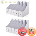 【送料無料】Panavage ファイルボックス A4 紙 収納ボックス 小物入れ ファイルスタンド 書類ケース 机上収納ボックス ファイルボックス 文具収納 事...