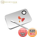 【BEAUTY PLAYER】スパチュラ メイク 化粧パレット ステンレス製 化粧品ツール パレット 化粧品用 メイクさん用 パレット リキッドファンデーション ネイル カラー パレット メイクツール スパレット棒付き ステンレス (正方)