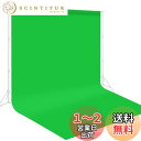 FotoFoto グリーンバック 布 3m x 6m グリーンスクリーン 大型 撮影 背景 無反射面と反射面があり 背景布 緑 クロマキー 布 ポリエステル z...