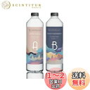 SANAAA エポキシ樹脂 二液性レジン液 ハードタイプ レジン液 大容量500g(250+250g) DIY 手芸用品 レジンアート、レジンアクセサリー 高い...