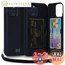 TORU CX PRO iPhone 12/12 Pro ケース カード 収納背面 3枚 カード入れ カバ- (ストラップ, ミラー 含ま) - アイフォン12 Pro 用 / アイフォン12 用 - ブラック