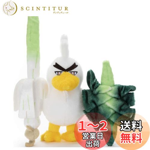 ݥåȥ󥹥 ݥ ߤˤ᤿! ̤ ͥʥ ⤵28cm