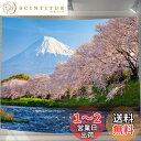 U-SITU タペストリー 壁掛け 壁飾り 富士山 河津桜 桜舞い 自然景色 オシャレ 背景 多機能 布ポスター インテリア 雰囲気転換(サイズ:長さ150cm x 幅200cm)カラー:GT0032B