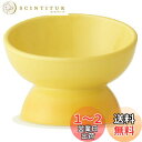 スケーター (skater) 短頭犬用 食器 陶磁器製 ペット餌入れ 幅広 マット付 イエロー CHOB3