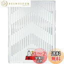 ボンフォーム(BONFORM) カーマット スヌーピー SNPクリアーアロー2 前席1枚 45x60cm クリア 6407-01CL