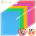 ZCZN ファイルホルダー A4 ファイル収納 半透明カラー 5色セット 20枚 資料収納 書類管理