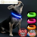 【送料無料】Visinite LED光る首輪, 小型犬 散歩 ライトUSB充電式, 子犬や猫に適した調節可能な長さ, 軽量, 暗い犬 首輪 光る300m先から目視可能, 犬 ライトるあなたに小さな犬や猫を目に見えて安全に保つ, ブルー