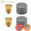 【送料無料】DERASLフォームキャノンオリフィスノズル先端 金属制 フォームランス用 オリフィスのスクリューのノズル メッシュフィルタ 2pcs (ノズルとフ...