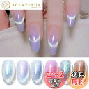 BORN PRETTY ジェルネイル マグネットジェル キャッツアイジェル ネイル カラー 6色セット 磁石付き ガラス製容器 UV/LED対応 カラージェルセ...