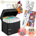 Ohuhu イラストマーカー 筆タイプ 80色81本 プロ愛用 薄色 筆・細字 パステル マーカーペン アルコール系 ブレンダーペン付き Honolulu Bシ...