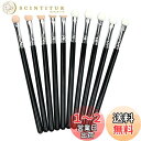 RICISUNG アイシャドウチップ 【10本セット 】スポンジチップ ロングハンドル メイクブラシ アイシャドウ メイク道具 プラスチックハンドルアイシャドウブラシ 多機能