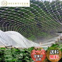 ONESORA ベランダ鳥よけネット 防鳥ネット 防鳥網 10×10m 取り付けインシュロック付属 カラス避け 鳩避け 鳥避け 猫脱走防止 野良猫侵入防止 テグ...