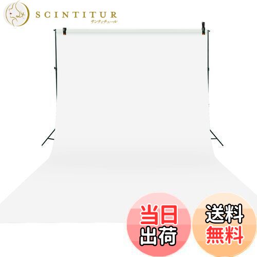 【送料無料】Qinunipoto 背景布 白 無地 背景 2x3m 背景シート バックスクリーン バーチャル背景 白い..