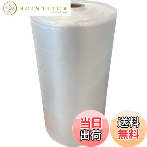 【送料無料】TRUSCO(トラスコ) レジポリ袋(ロールタイプ)230×340 12号 2500枚入 RP-2334