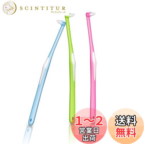 ワンタフトブラシ やわらかめ 部分磨き 超極細い 歯ブラシ 奥歯用 矯正用 歯間ブラシ 入りやすい ブラシ 小さいヘッド 奥歯ブラシ 歯間清掃 個包装 3本入 (ブルー/グリーン/ピンク)のサムネイル