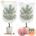 SensaBliss 防虫ネット 植物保護カバー 防鳥ネット 2枚入り メッシュ巾着式 通気性 虫鳥除け網 虫除け ネット 透明 虫よけカバー 家庭菜園 野菜栽培 花壇 果樹 プランター 鉢植え用 園芸ネット すっぽり カバー キット ベランダ 庭 畑 玄関 防風 防虫 鳥対策(100×80cm