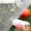 【送料無料】Phyxiul 防虫ネット 防鳥ネット 園芸用ネット 鳥害対策 防鳥防獣網 鳥除け 野菜栽培 家庭菜園 畑 野菜 虫鳥除け網 通気性 虫除けネット 透明色 (2.5m×3m)