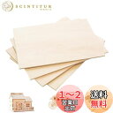 【送料無料】LOYELEY 木材 超薄い板 5枚 300mmx200mm 厚さ1.5mm ホビー素 無塗装 木材シート模型 印字彫刻 DIY工芸品 手作り 超軽い 塗れる板 便利な板 組み合わせ 画材用