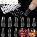 【送料無料】FINGOOO ネイルチップ 透明 240枚 ロング 超薄 クリア 長さ出し 長さだし ミディアム 付け爪 つけ爪 自然なフィット感 密着 (バレリーナL)