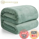 【送料無料】Hansleep 毛布 シングル 夏用 ブランケット 140x200cm マイクロファイバー 柔らかく肌触り フランネル 洗える 静電防止 四季適用 (140x200,カルダモングリーン)