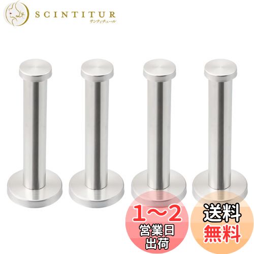 【送料無料】Charmoon ステンレス 壁掛け フック ウォールフック ハンガー 収納 ねじ式 シンプル おしゃれ シルバー (10cm 4本)