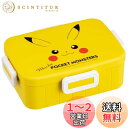【送料無料】スケーター(Skater) 弁当箱 650ml ポケットモンスター ピカチュウ フェイス 23 抗菌 4点ロック 女性用 日本製 YZFL7AG-A
