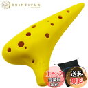 【送料無料】Aestivate Plastic Ocarina オカリナ 楽器 12穴 アルトC調 プラスチック AC Ocarina 吹奏管 樹脂(イエロー)