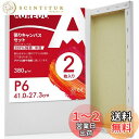 【送料無料】AUREUO 張りキャンバス セット P6 (41cmX27.3cm) 中目 100%コットン 2枚 初心者 絵画用具 芸術絵創作 現代油絵 美術装飾 水彩画・油絵画・アクリル兼用