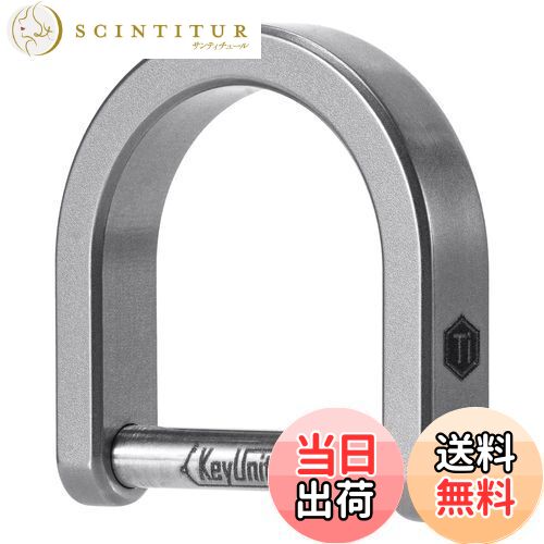 【送料無料】[KeyUnity] KA17チタンキーリング Dリングキーホルダー 軽量 Dタイプ 車のカギ DIYキー収..