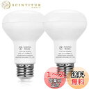 【送料無料】LED電球 e26 レフ電球 12W 100W形相当 昼白色 1200ルーメン 下方向 断熱材 密閉器具対応 PSE認証済 省エネ90% 明るい 人気 Alantis (2個入)