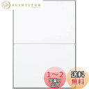 【送料無料】佐藤金属興業(Satokinzoku) SALUS たためるまな板 ホワイト ポリプロピレン