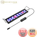 【送料無料】hygger 水槽ライト 30cm~45cm水槽対応 LED 30CM 40CM 45CM 3照明モード 5段階明るさ調整 3タイマー付き アクアリウムライト スライド式 熱帯魚ライト 水槽用 24LED 観賞魚飼育 水草育成 省エネ 長寿命 9W