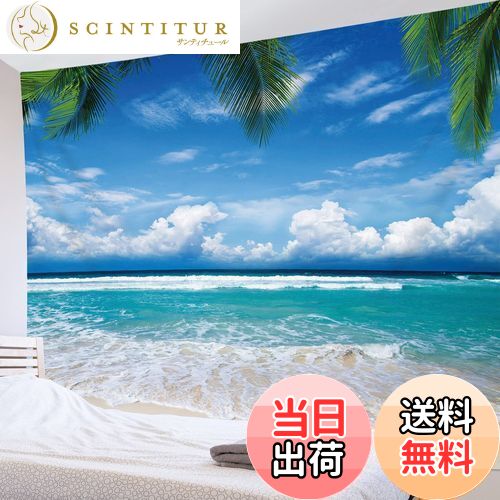 ̵LB ʥڥȥ꡼ Ĥȳ ӡ ƥꥢ ¿ǽɳݤ ե֥å  ʥ ؤ  륫ƥ...