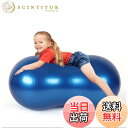 【送料無料】MICHEALWU ピーナッツ型 ヨガ バランスボール エクササイズボール ピーナッツボール ジム リハビリ ダイエット フィットネス 空気入れ付き 初心者 子供 年上 犬 自宅 【送料無料】MICHEALWU ピーナッツ型 ヨガ バランスボール エクササイズボール ピーナッツボール ジム リハビリ ダイエット フィットネス 空気入れ付き 初心者 子供 年上 犬 自宅