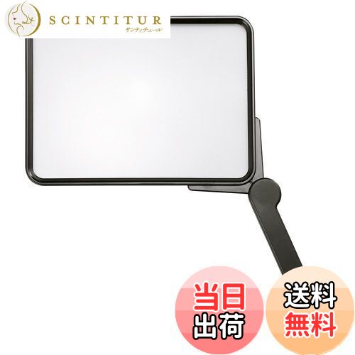 【送料無料】Kenko ルーペ ジャンボルーペ 1.8倍 193mm KTL-101