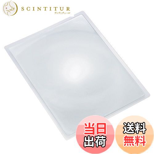 【送料無料】Kenko ルーペ プレミアムシートルーペ 2倍 A4サイズ KTL-021