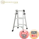 【送料無料】長谷川工業(Hasegawa) アルミ軽量はしご兼用脚立 天板トレー付 (81cm) RC-09c (10940)